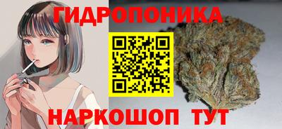 spice Гусев