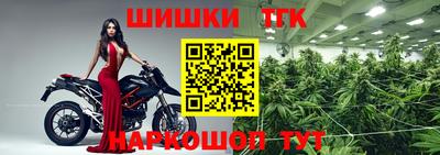 эйфоретик Гусь-Хрустальный