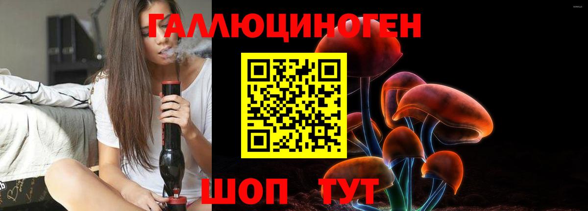 Псилоцибиновые грибы Psilocybine cubensis  Вход с VPN  Галлюциногенные грибы Psilocybe  Чусовой 